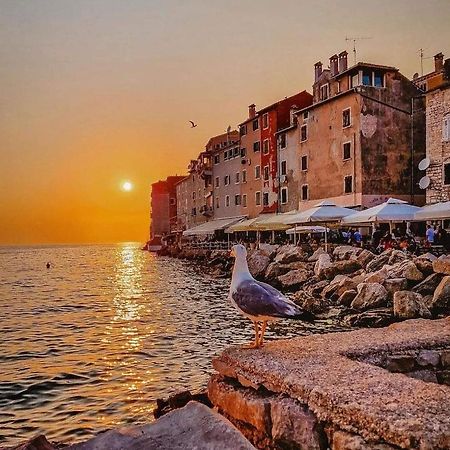 Mobile Home More Porton Nature Hideouts Rovinj Exterior foto